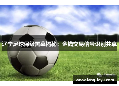 辽宁足球保级黑幕揭秘：金钱交易信号识别共享